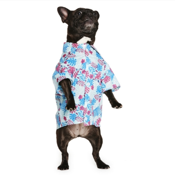 TROPICAL PALMS ☆ DOGGO HAWAIIAN SHIRT ☆ NWT - Picture 2 of 9